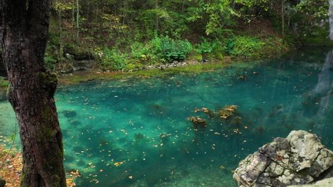 Krupaj spring in Serbia. Magical Nature of Serbia. Krupajsko Vrelo Natural Spring and Pool With Aqua Blue Water in Green Summer Landscape. Krupajsko vrelo Srbija.
