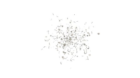 Silver Confetti Particles Pack on a White Background with Luma Matte Channel.