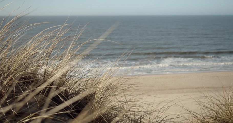 Dune gras moving in the wind on Sylt with the north sea and the beach in the back Royalty-Free Stock Footage #1070794315