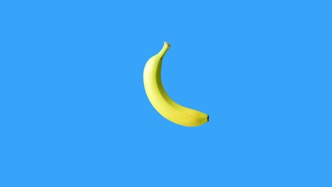 moving bananas in loop spinning motion at blue chroma key background