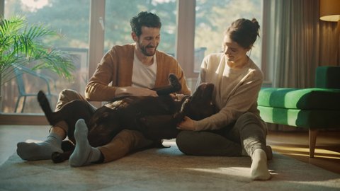 At Home: Happy Couple Play with Their Dog, Gorgeous Brown Labrador Retriever. Boyfriend and Girlfriend Tease, Pet and Scratch Super Happy Doggy, Have Fun in the Stylish Living Room. Slow Motion