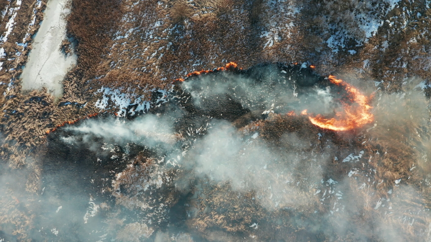 Aerial view of wildfire on the field. Huge clouds of smoke