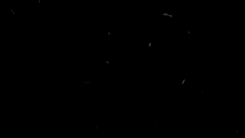 A lot of insects flies at night time. Many mayfly Insect flies on a black background. | Shutterstock HD Video #1070812018