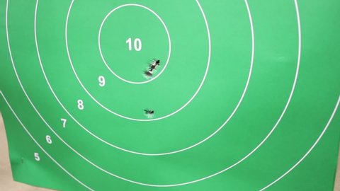 Green targets with bullet holes. Shooting with a pistol and a shotgun, shooting. Sports hobby, line-up close up