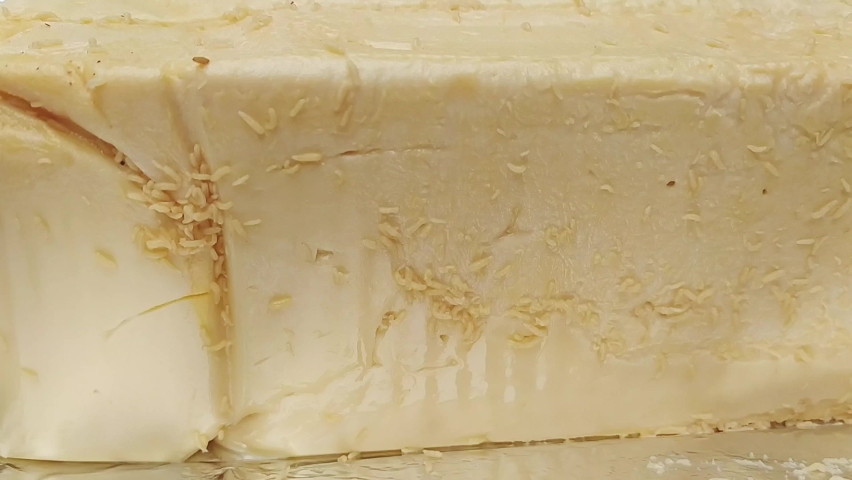 An expired processed cheddar cheese gone bad because of bad storing system and grew lots of maggot on it