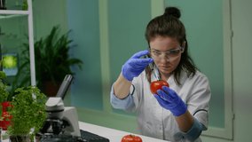 Chemist researcher typing pharmacology medical expertise on computer injecting tomato with chemical pesticides for farming experiment. Scientist woman working in botany laboratory - Powered by Shutterstock - Get 15% off with code: PIKWIZARD15