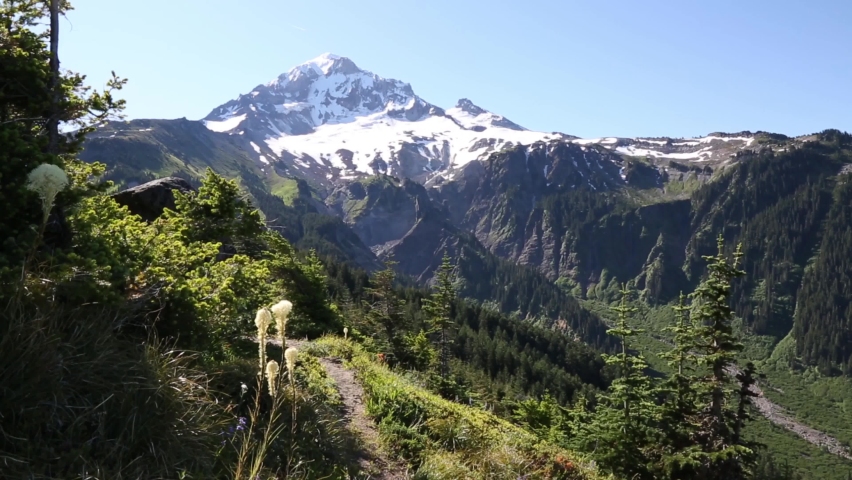Bald Mountain Top spur trail. View of Mt Hood with Swanson