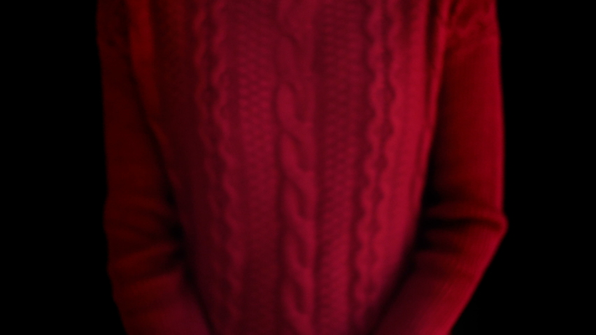 Poinsettia pot plant view of a houseplants