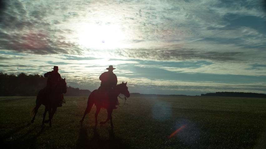 Stallion Riders Walking on Meadow at Sunny Morning