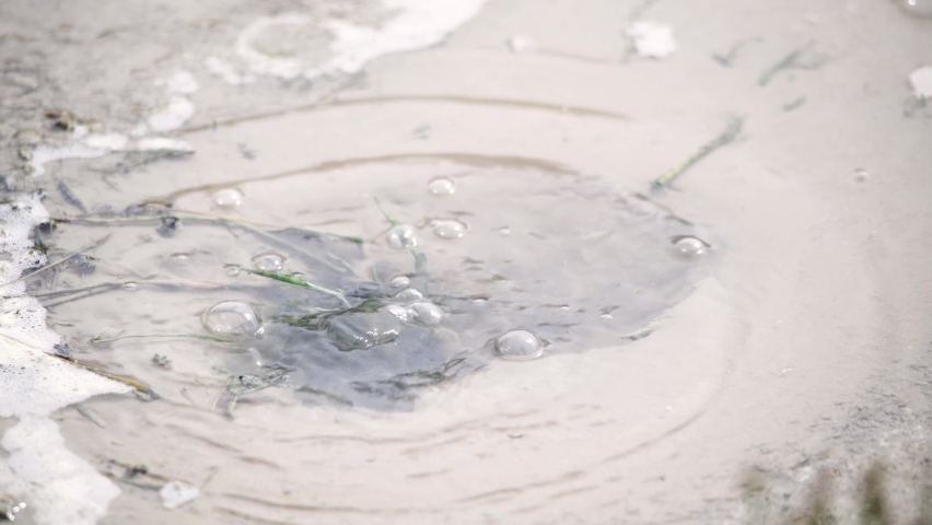 Mud Geyser in Yellowstone National Park, Wyoming, USA