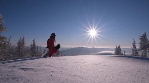 Snowboarder woman walking through snow covered Christmas tree forest carrying snowboard. Powder sunny Day. Slow motion video