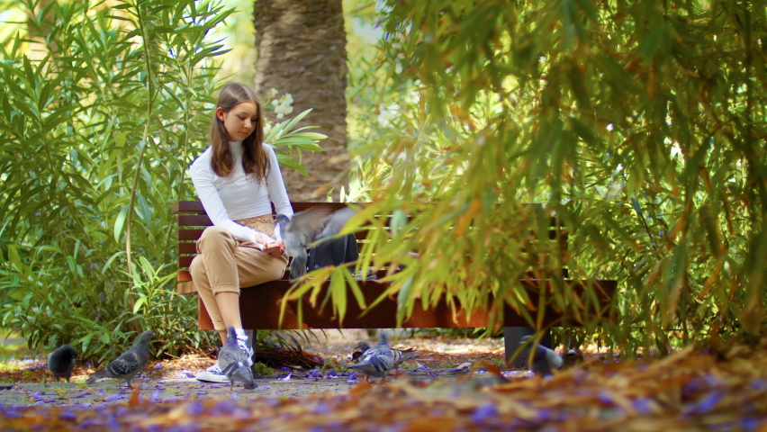 Relaxing in nature. Happiness people lifestyle. 
Attractive teenager plays with animals on the street.
a Flock of pigeons begging for Food from passers-by.
Walk in the park and Rest.