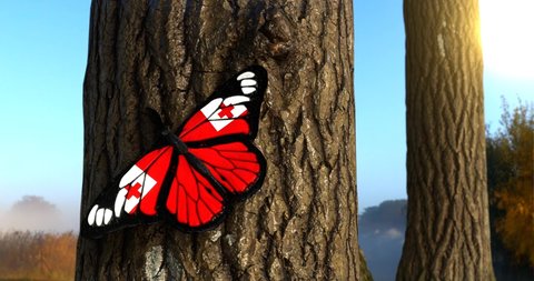 Flag of Tonga on Butterfly Wings Realistic 4K UHD 60FPS