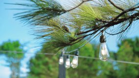 Bulb turned on in nature - Powered by Shutterstock - Get 15% off with code: PIKWIZARD15
