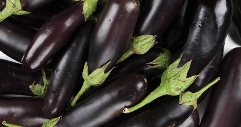 Raindrops falling on a heap of eggplants. Rotation of aubergines. View from above. Vegetables background
