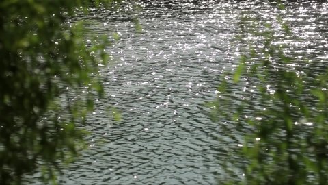 Beautiful blue sunny sparkling river water and fresh green foliage growing at tree on riverbank. Summer calm nature background. Slow motion