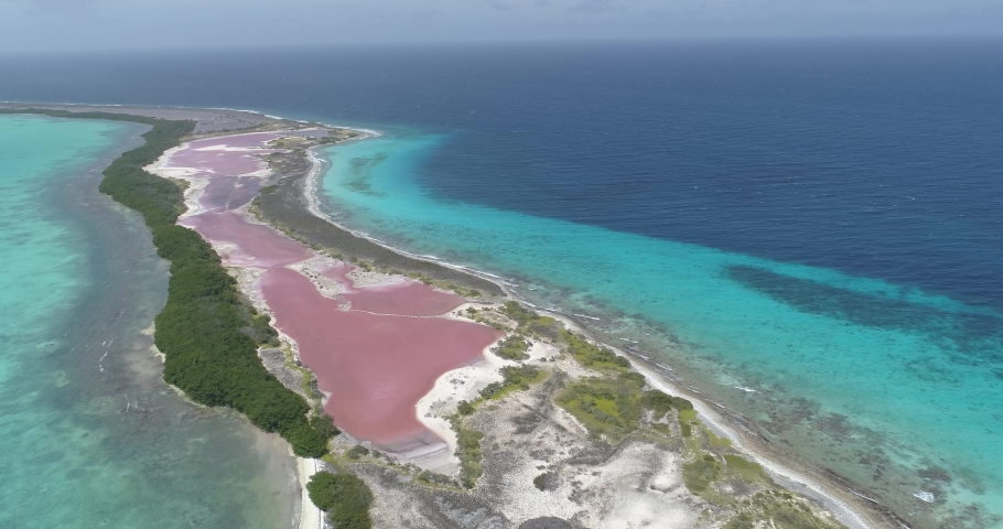 Los Roques venezuela salt key , Aerial View descending Shot, Scenic View Of Tropical Forest With Mangrove Trees and Salt Area Close To The Ocean Beach.
