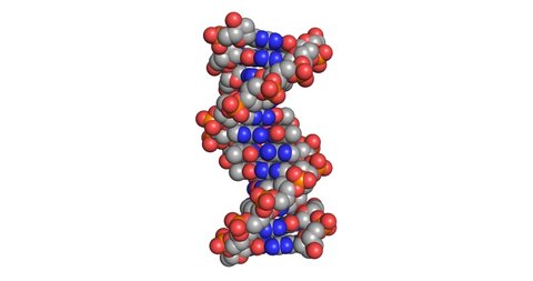 DNA Deoxyribonucleic acid molecule 3D render chemical structure 4K seamless loop