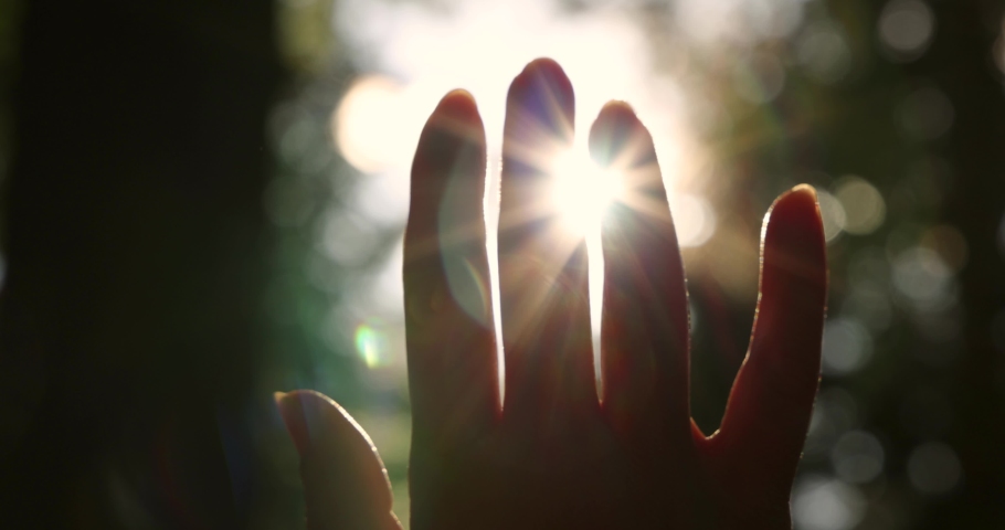 Female hand touching the sun, sunlight passing through fingers, pine forest mountain at sunset, closeup shining sun and the branches of the trees, season travel nature idyllic Royalty-Free Stock Footage #1070962876