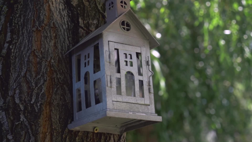 Small decorative house hanging from a tree trunk.  | Shutterstock HD Video #1070972323