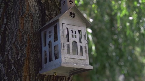 Small decorative house hanging from a tree trunk. 