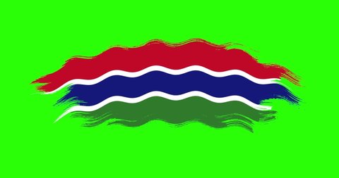 Gambia national brush stroke flag waving on green screen background. Gambia flag 4K seamless wave loop on green screen background