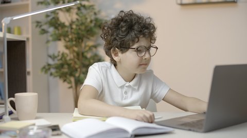 Clever schoolboy doing home assignment, using computer, ignoring phone calls
