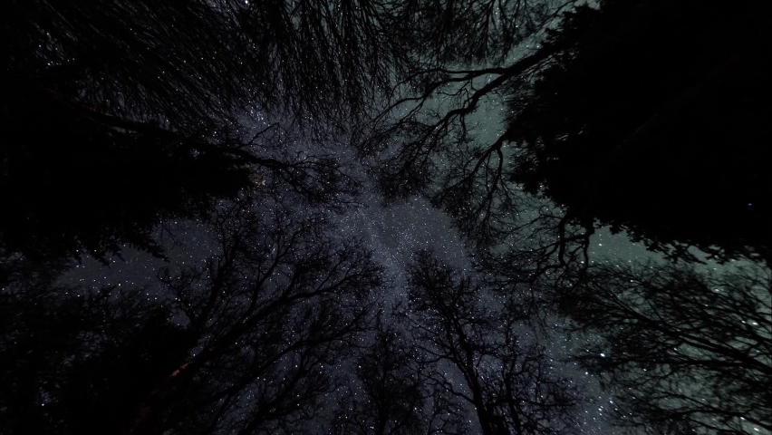 Startrail timelapse made of 300+ raw shots and stitched together to give a unique perspective of the night sky and it
