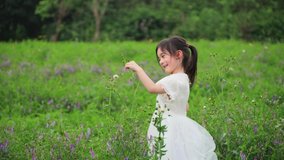 Cute little mixed-race girl in a white dress picking blowing dandelions in a meadow full of flowers in spring adorable happy asian middle east mixed race child portrait 4k slow motion clip