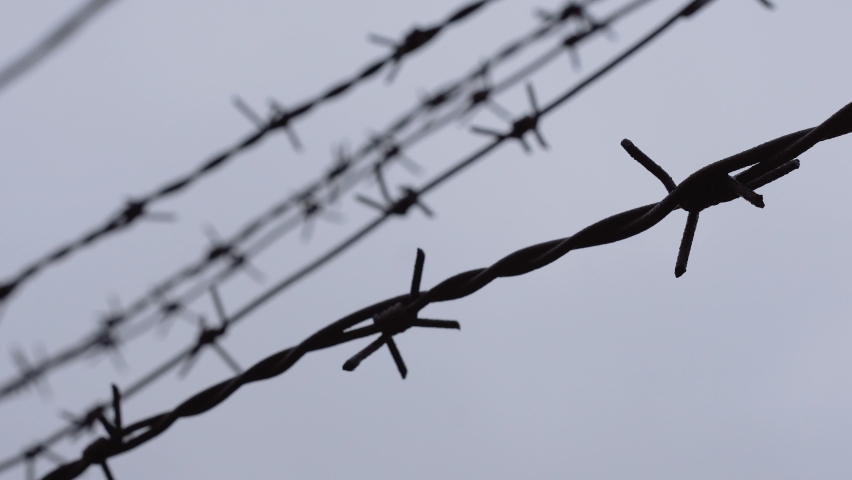 Barbed wire on the background of the gray sky. Illegal immigration concept, prison lifestyle, imprisonment, restricted area.	
 Royalty-Free Stock Footage #1070992126