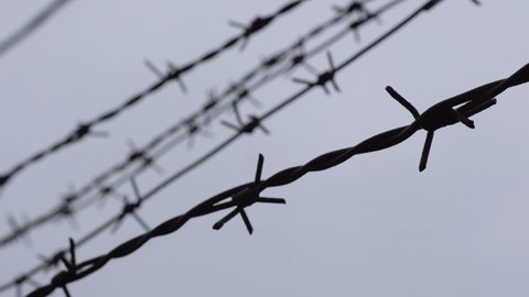 Barbed wire on the background of the gray sky. Illegal immigration concept, prison lifestyle, imprisonment, restricted area.	
