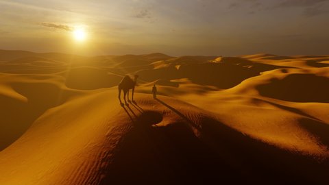Arab man with a camel overlooking the sand dunes to spot an oasis