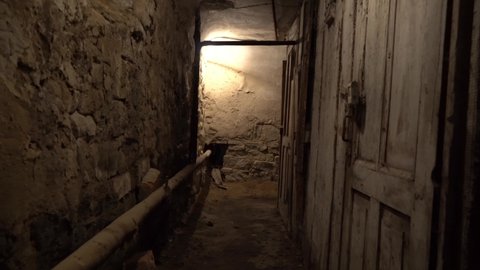 Walk through an old dark underground basement or a closet in an old house.An old underground passage with many doors in the old manor house. A gloomy corridor or a tunnel with stone walls