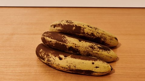 Bananas going black and spoiled in a time lapse