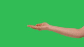 Close up side view of beautiful outstretched female hand isolated on green screen chroma key background. Woman holding empty open flat palm showing something virtual and invisible. Slow motion. - Powered by Shutterstock - Get 15% off with code: PIKWIZARD15