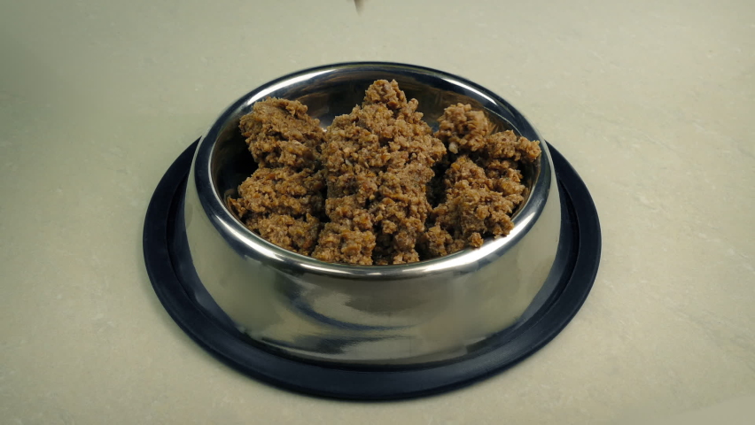 Person Feeds Dog with Meaty 스톡 동영상 비디오(100% 로열티 프리) 1071035263 | Shutterstock