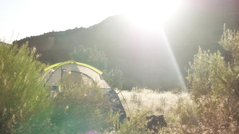 Camping in nature wilderness. Tent set up in bushes. Sunny summer day.