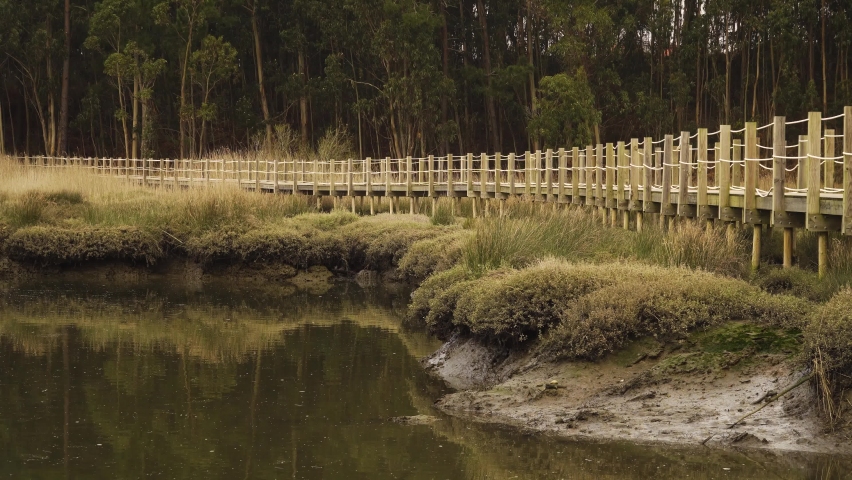 4K close up on a wooden food path over a low tide pond and some trees in the background of Ria de Aveiro on the estuary of the river Vouga. Royalty-Free Stock Footage #1071042427