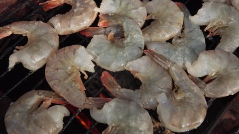 Raw King Prawn Stock Video Footage 4k And Hd Video Clips Shutterstock Raw King Prawn Stock Video Footage 4k And Hd Video Clips Shutterstock