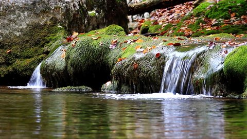 Little waterfalls in a peaceful wood