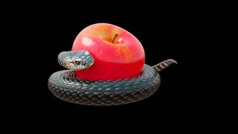 religious motive - the serpent offers the forbidden fruit
the snake crawls to the apple, wraps around it and crawls away
