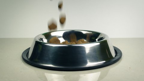 Dog Food Pours Into Dog Bowl