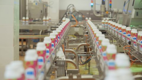 Packages with yogurt Traveling Along a Conveyor belt. Production of Dairy Based Products. Yogurt Making. Automated Process. Manufacturing Line. Modern Processing of Milk. Packaging. Inside a Factory