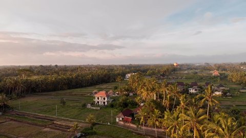 Stunning sunset seen from a drone over the town of Ubud on Bali. Palm trees, sun, orange, gold hour, Indonesia, aerial view, rice fields. 4K Drone Footage