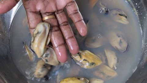 Fresh frozen mussel meat on the water, Blue mussels curry, also known as the common mussel, is a medium-sized edible marine bivalve mollusc in the family Mytilidae, the mussels. Blue mussels