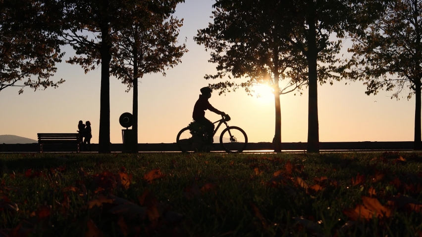 Silhouettes of Cyclist and Funny Dog in Park on Evening Sun Over Anatolian Part of Istanbul, Turkey,