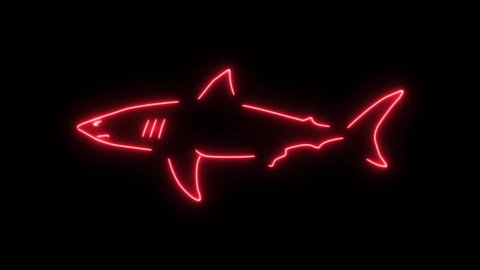 Shark outline of burning flames and neon lights. Compilation of animation with shark in fire and glow light effects. White shark fish.