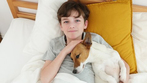 Happy boy hugs dog Jack Russell Terrier smiling in love is lying in bed on white blanket morning. Child dog plays emotionally. Childhood. Pets. Care attention love for pets. Top view. Family concept