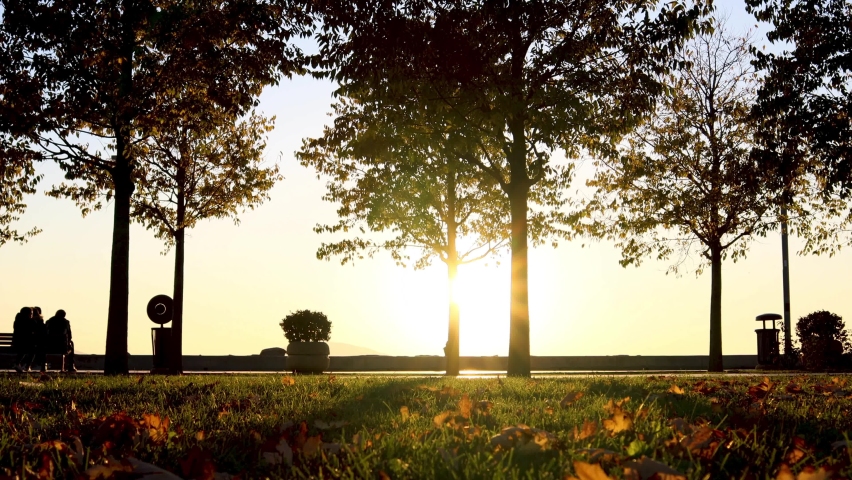 Sunset Sunlight Above Park With People, Cyclist and Running Dog on Sunny Autumn. Anatolian Side of Istanbul, Turkey