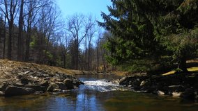 This video shows scenic aerial views of small creek in the woods. 